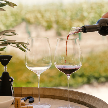 Poháre na Cabernet / Alibernet 650 ml set 2 ks - FLOW Glas Platinum Line