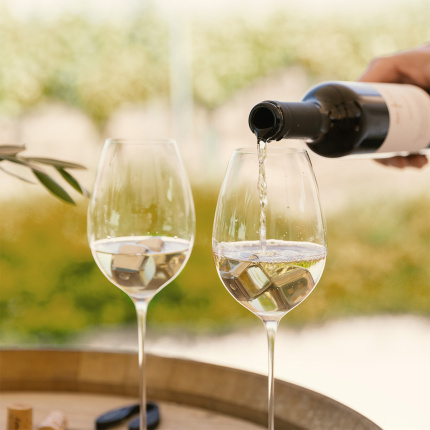Poháre na biele víno 280 ml set 2 ks - FLOW Glas Platinum Line