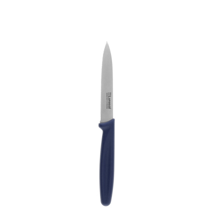 Kuchynský nôž 10,2 cm zúbkovaný | Master Blue
