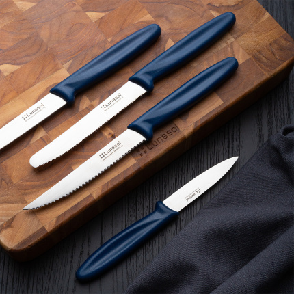 Steakový nôž 11,2 cm | Master Blue