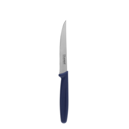 Steakový nôž 11,2 cm | Master Blue