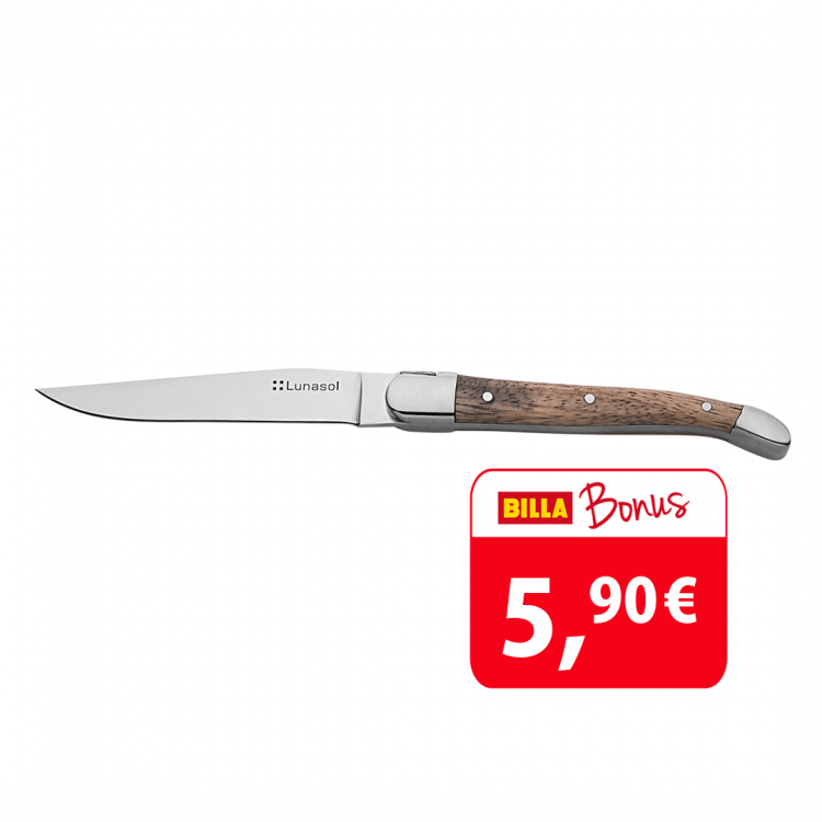 Steakový nôž s drevenou rukoväťou - Basic