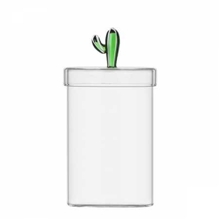 Sklenená dóza s vekom so zeleným kaktusom ø 10,8 cm — Ichendorf