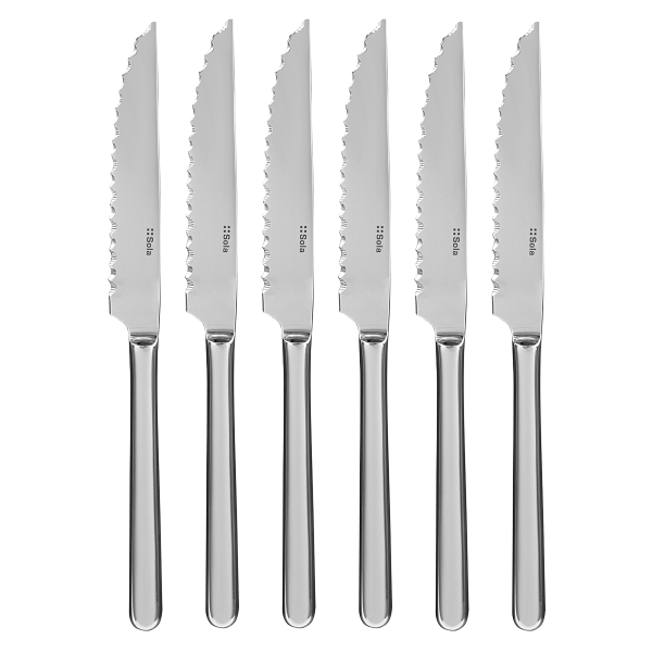 E-shop Steakové nože v striebornom magnetickom boxe 6 ks - Como