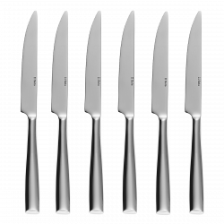 Steakové nože v magnetickom boxe 6 ks - Vail